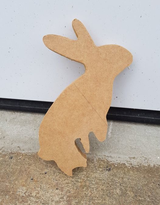 Lapin curieux