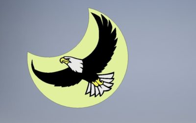 Aigle au clair de lune